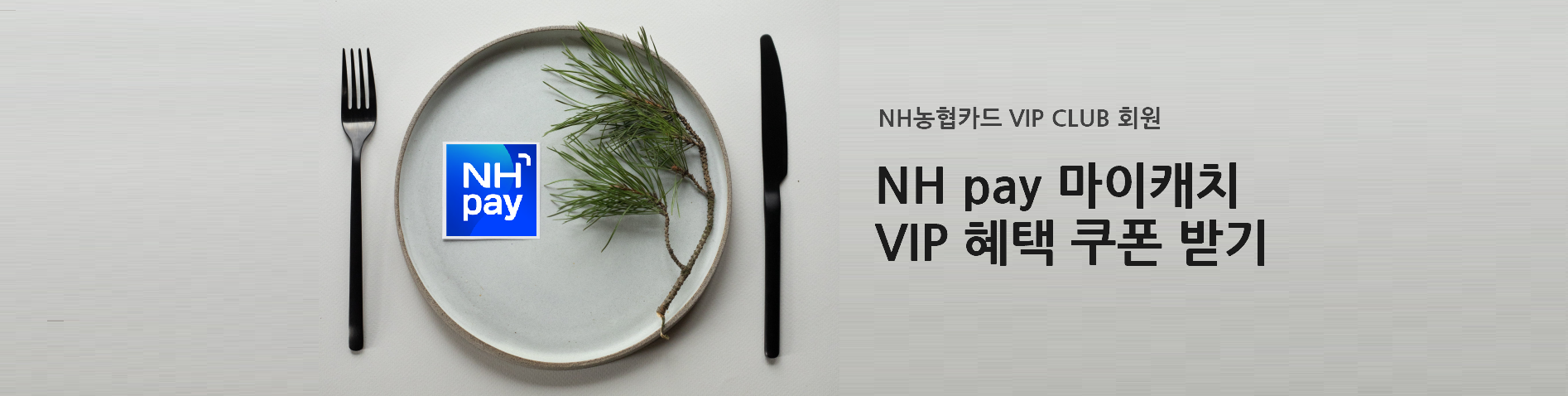 nhpay 마이캐치 공지사항